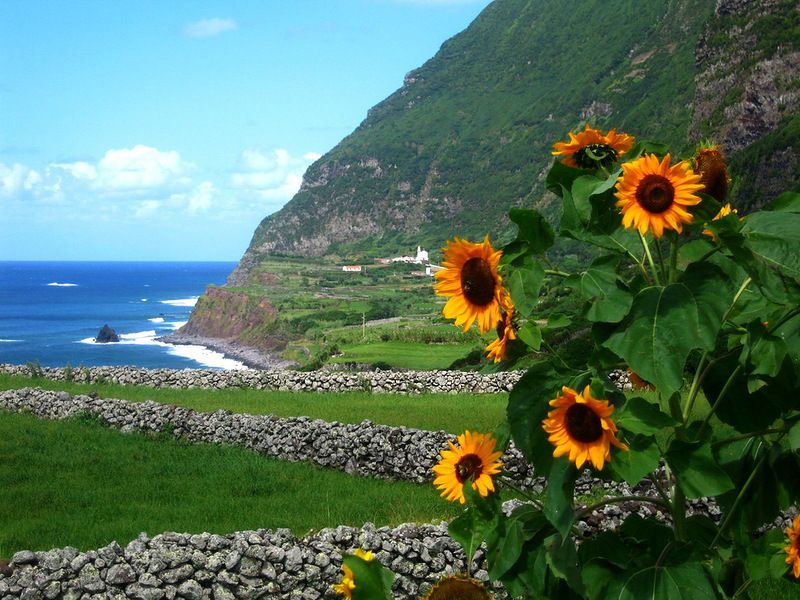 Азорские острова - места нетронутой природы