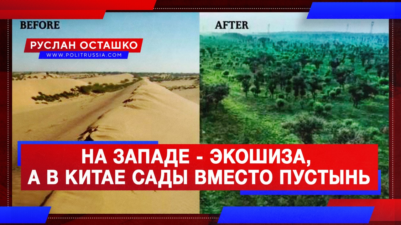 Пока на Западе слушали экошизу, Китай превратил пустыню в сад