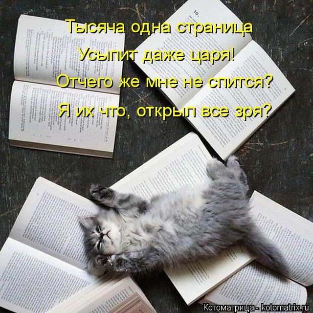 Лучшие котоматрицы недели Лучшие котоматрицы недели