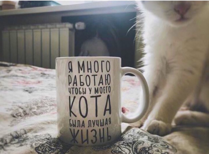 16 примеров сокрушительного чувства юмора, который обезоруживает напрочь