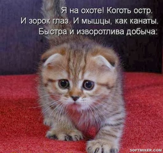 7ce69541004dad6bd9c221d8974_prev