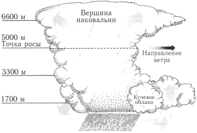 ��� ����� ���� �� ����� �����...