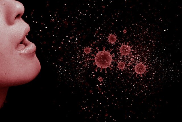  На каких поверхностях коронавирус живет дольше всего