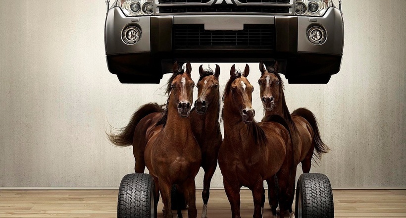 Creative wallpaper horses under the hood 015979