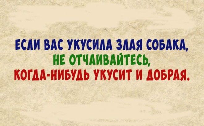 Великолепная подборка анекдотов во славу выходных