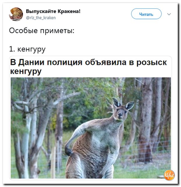 cd772d9368ea4e8370043413d7ac63b3.jpg