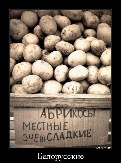 Демотиваторы-приколы (15 шт) Демотиваторы-приколы (15 шт)