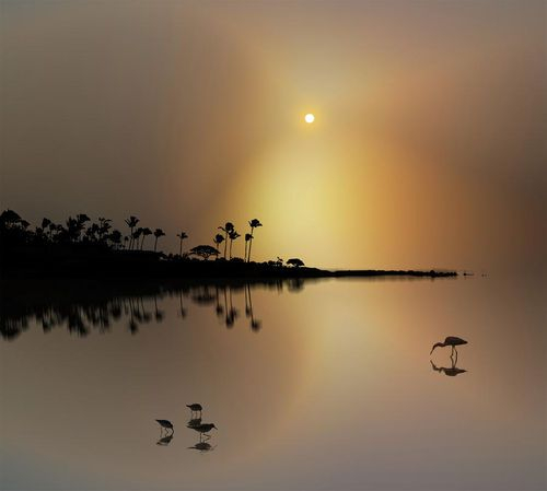 Peter Holme III Tutt'Art@ (1) (500x449, 88Kb)
