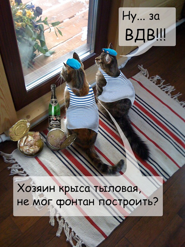 Поздравления вдв прикольные картинки Поздравления вдв прикольные картинки