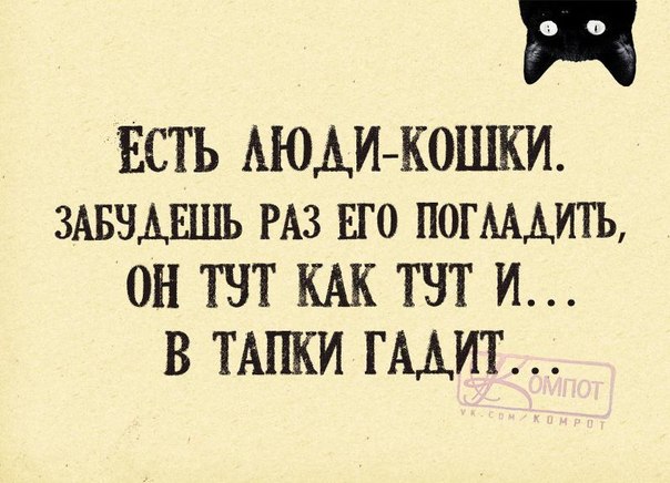 Позитивные фразочки в прикольных картинках. Всем отличного настроения!