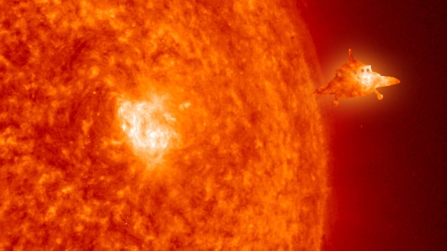 Солнце родило НЛО размером с Землю. Фото: Globallookpress