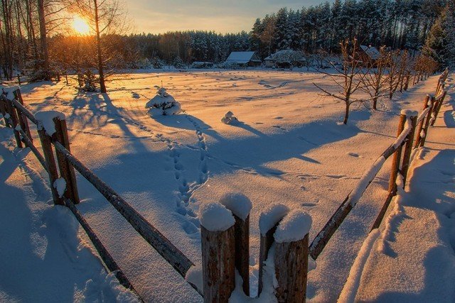 Морозное утро в деревне деревня, зима, красота, россия, снег