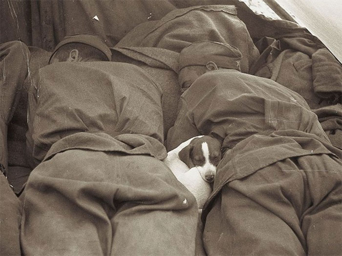 13 трогательных исторических фотографий