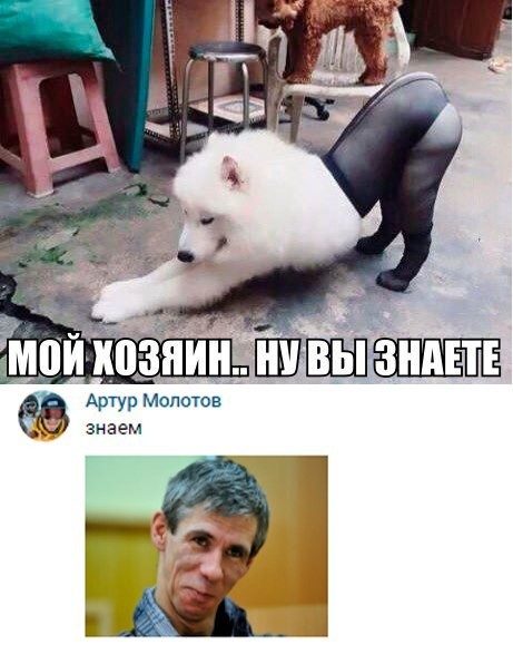 Соц.сети жгут!!! Фееричные комментарии народных приколистов. Заходите поржать! Соц.сети жгут!!! Фееричные комментарии народных приколистов. Заходите поржать!