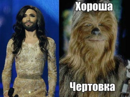 Приколы, Демки, комментарии про Кончиту, даже не Ржака , а просто Плевака какая-то...