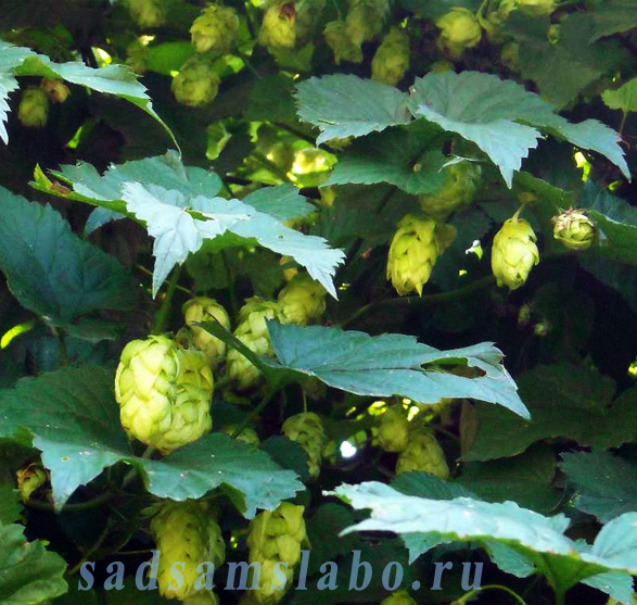 ����� ��� ���� � ����� �������� ������������� ������