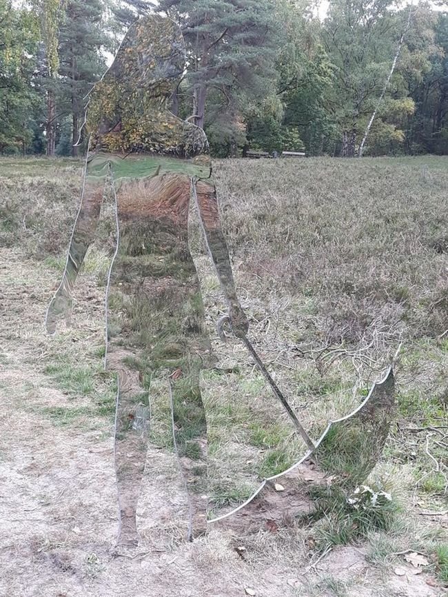 Призрачная зеркальная скульптура, Уорпсвед, Бремен, Германия без фотошопа, в мире, кадр, красота, удивительно, фото