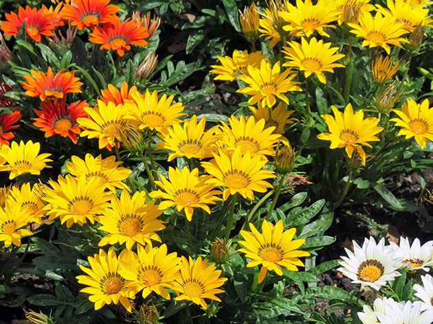 ������� � ����