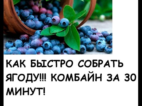 Поздравление подруге с днем рождения спасибо что ты есть