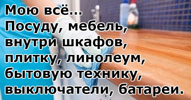 moyu_vsyo_momentalno_otmyvaet_vse_blestit__naget_ru