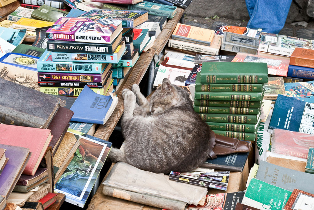 Где Купить Недорогие Книги В Москве