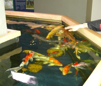 САМЫЕ НЕОБЫЧНЫЕ МУЗЕИ УКРАИНЫ САМЫЕ НЕОБЫЧНЫЕ МУЗЕИ УКРАИНЫ