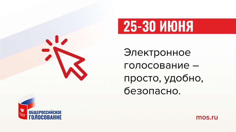 Технологию блокчейна будут использовать на голосовании о поправках к Конституции