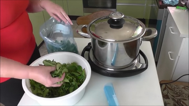 Нетривиальный рецепт с мятой: невероятно вкусно, душисто и нежно