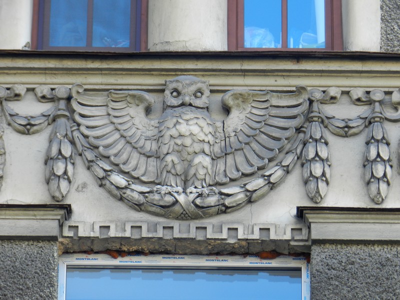 Совы Петербурга Совы Петербурга