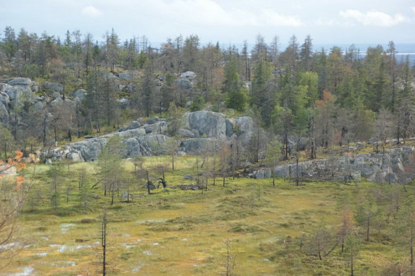 красота, россия