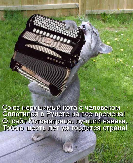 Поздравление для баяниста с днем рождения