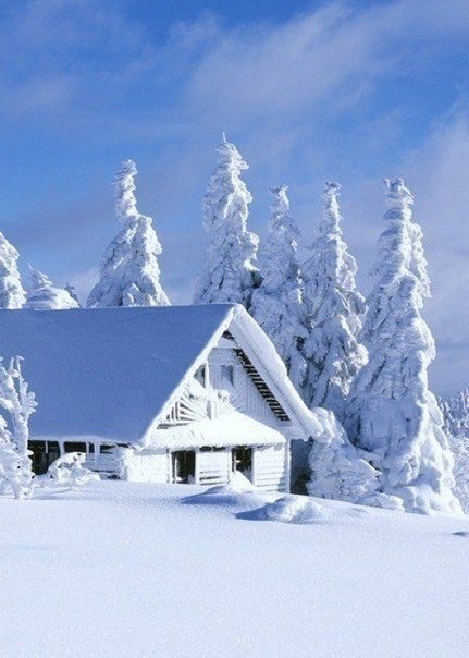 Зимняя сказка