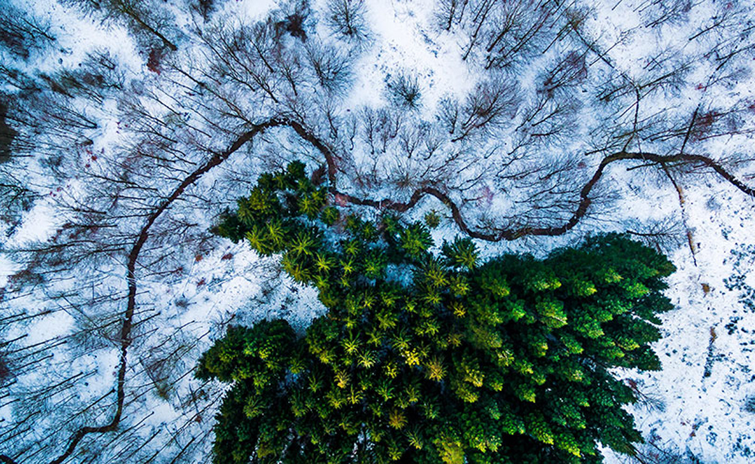Лучшие фотографии этого года, сделанные беспилотниками
