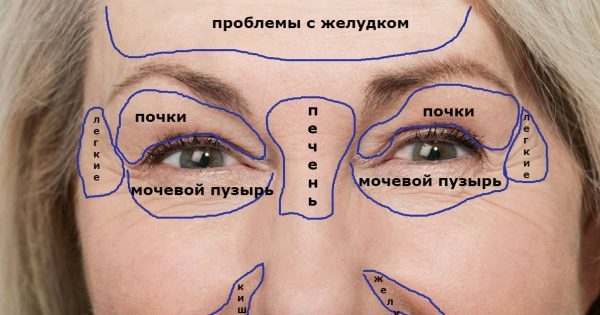 thumb-600x315 (5)