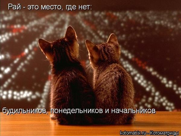 http://mtdata.ru/u3/photo1BCF/20160660055-0/huge.jpeg