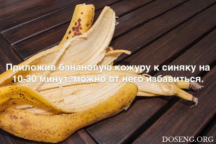 Любопытные и интересные факты обо всем на свете Любопытные и интересные факты обо всем на свете