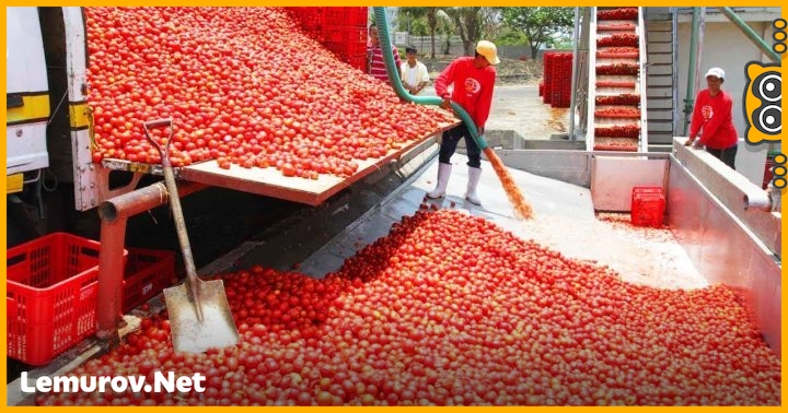10 самых быстрых рабочих в мире!
