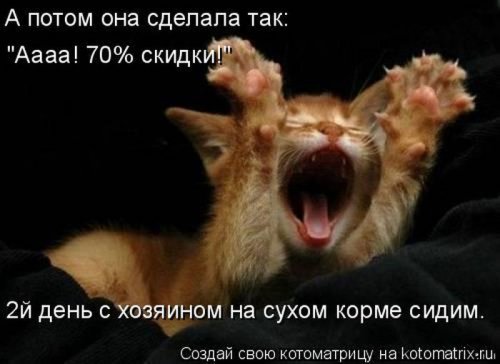 Веселая котоматрица свежак!