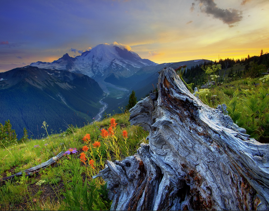 NewPix.ru -   - (Mount Rainier National Park) .  Kevin McNeal