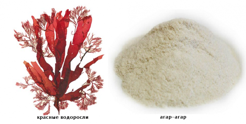 Что такое агар-агар, его свойства и чем его заменить
