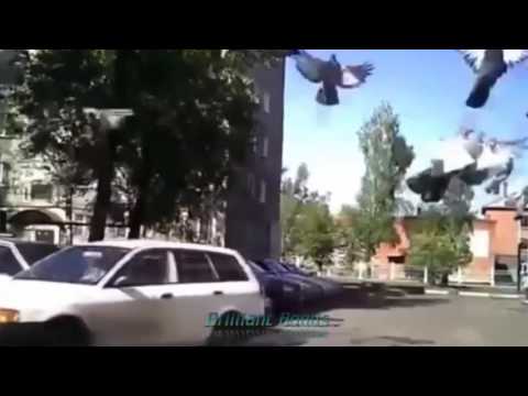 Ездюк может? Ездюк может?