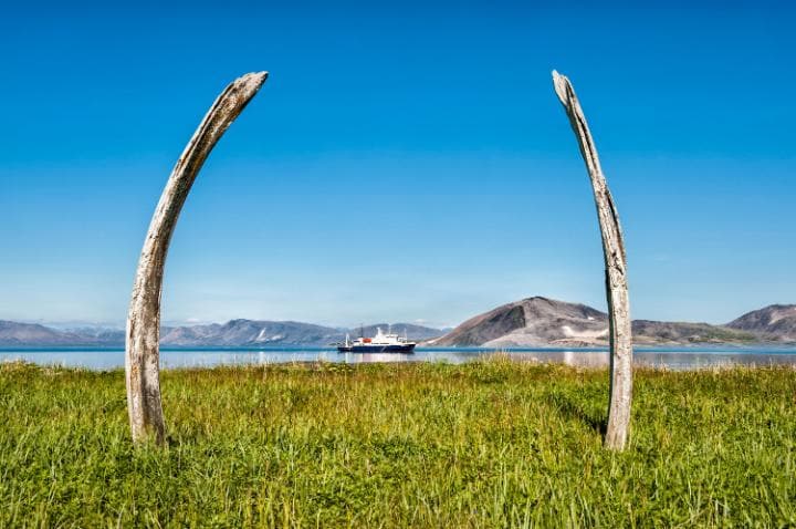Whale Bone Alley