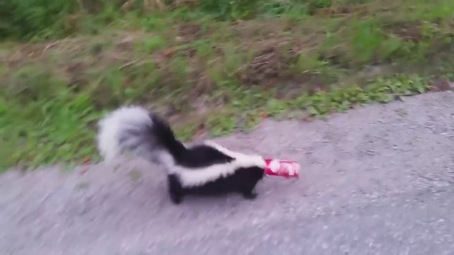 Самый храбрый поступок за всю мою жизнь Самый храбрый поступок за всю мою жизнь