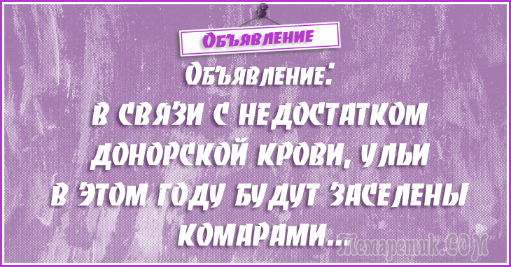 Анекдоты - объявления. 50 самых убойных объявлений Анекдоты - объявления. 50 самых убойных объявлений