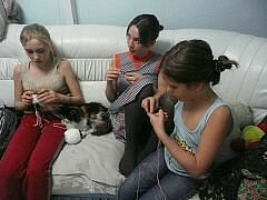 Гоните к чертовой матери из команды Президента этих работников. Они ему только палки в колеса вставляют