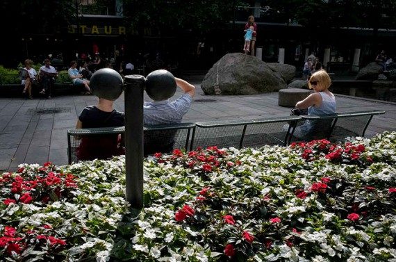 Вот что значит «поймать момент»! Вот что значит «поймать момент»!