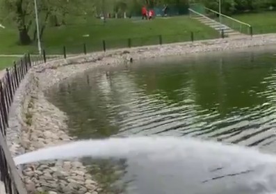 Состояние местного пруда обеспокоило жителей Дегунинской улицы