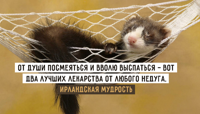 Не выспаться пословица Не выспаться пословица