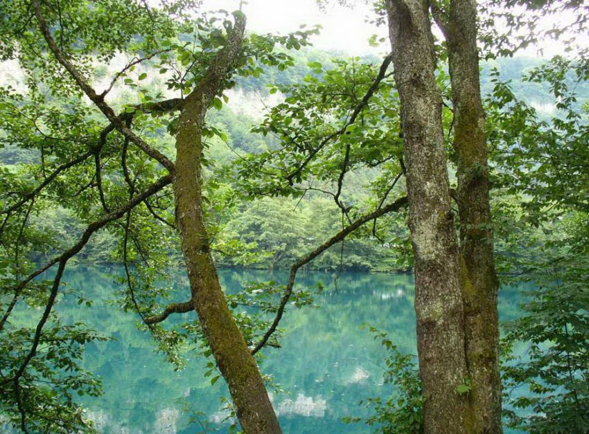 красота, россия