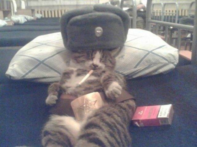Удивительные снимки с российских просторов Удивительные снимки с российских просторов